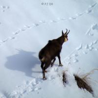 Au-dessus de St Ours…