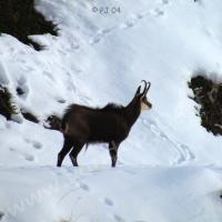 Au-dessus de St Ours…