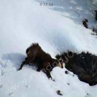 Au-dessus de St Ours…