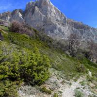 Vers le Petit Cloche…