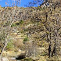 Au début du sentier…