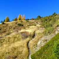 Sentier à la montée…