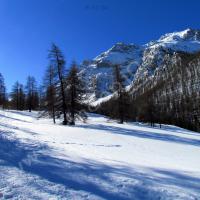 Montée vers le Fort de Plate Lombarde