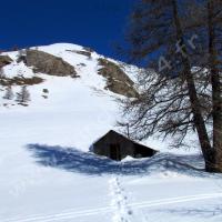 Cabane sous le Fort