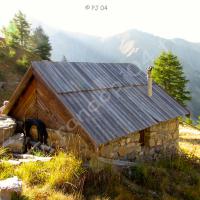 Cabane Forestière de Pra Joly