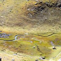 Un riou joue les « eaux tortes »…