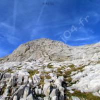 Roches calcaires de type lapiaz