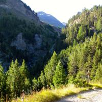 Arrivée sur la piste…