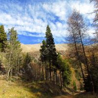 Piste vers le Refuge ONF