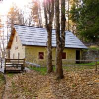 Maison Forestière des Dalis