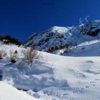 Avant le Riou du Pinet