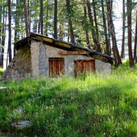 Cabane forestière de la Petite Saume