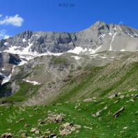 Au loin, le Mont Pelat…