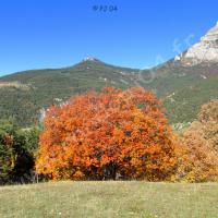 Au centre : le Morgonnet