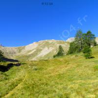 Vallon des Vaches