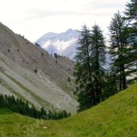 Du Collet de Font Rate…