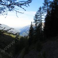 Montée dans la forêt