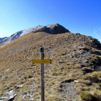 Au Col Bas vers la Tête Dure d'Enchastrayes