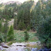 Première passerelle