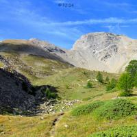 Tête de Plate Longe & Tête du Coin de l'Ours