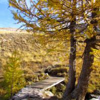 Passerelle sur le Riou du Vallon